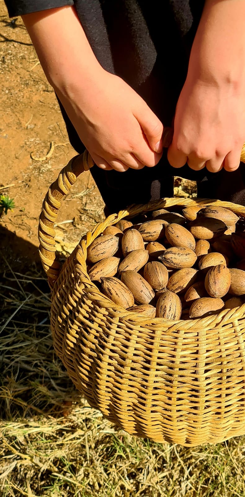 3 Bedroom Property for Sale in Modderfontein A H North West